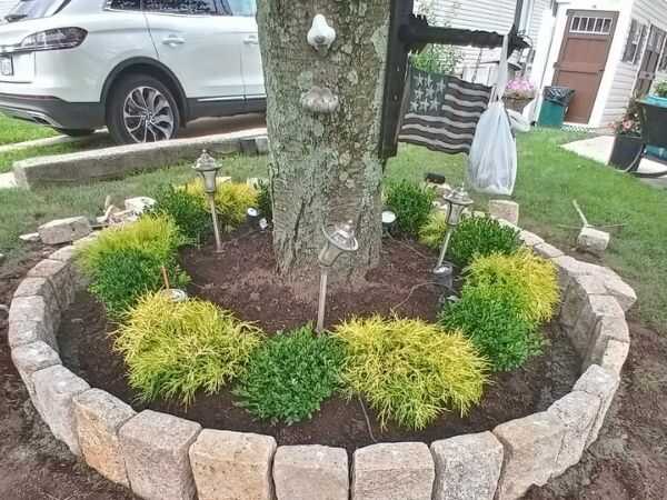 Carmelo's Landscaping Corp (22)
